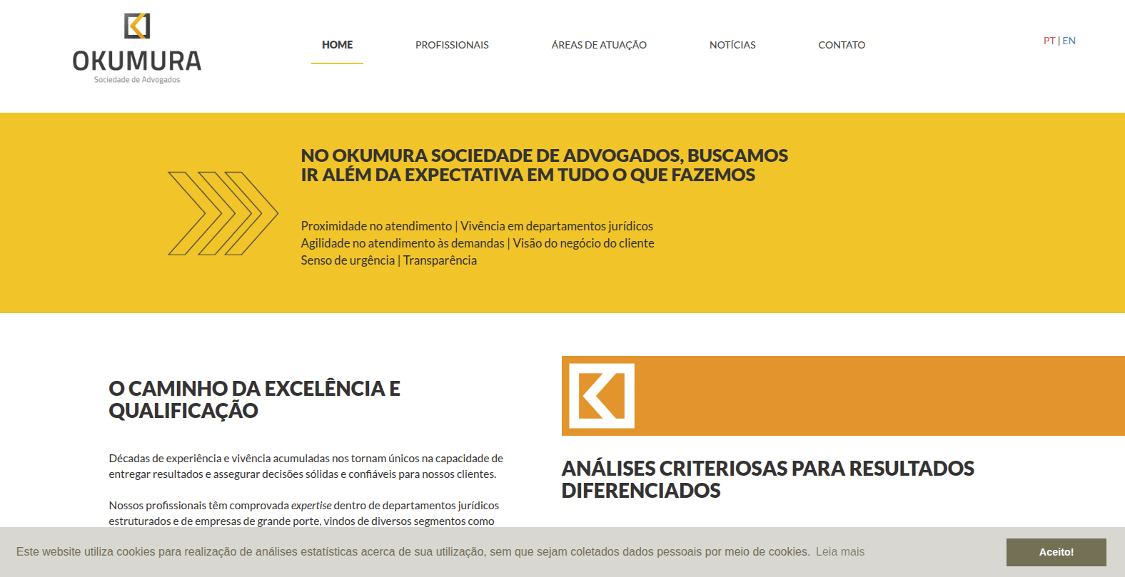 Print da tela inicial do site okumura